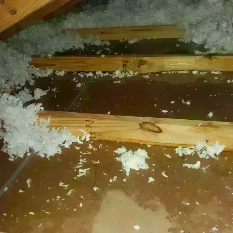 Attic Water Damage in Dexter, MO